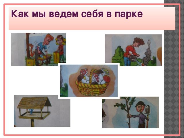 Парки и скверы нашего города