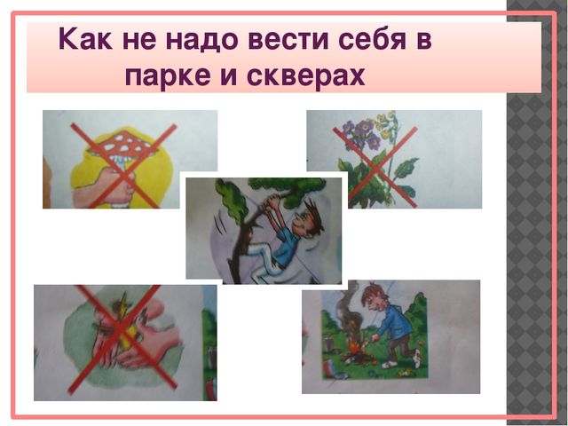 Парки и скверы нашего города