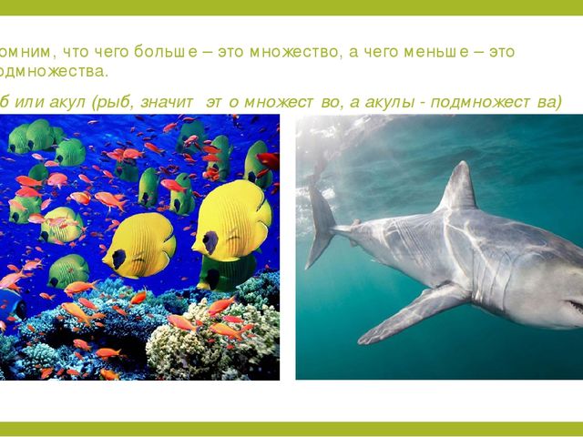 Презентация к занятию по информатике в подготовительной группе "Вложенность множества"