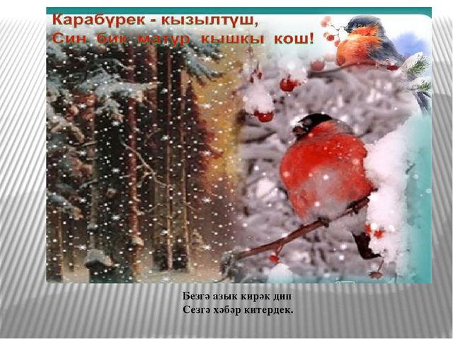 Презентация по экологическому воспитанию на тему "Кышлаучы кошлар"