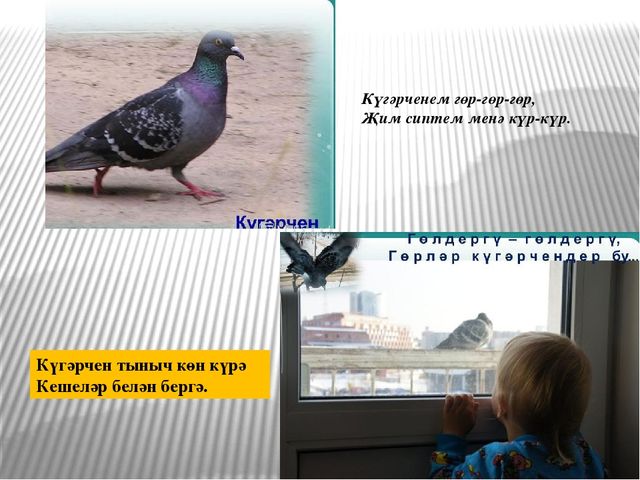 Презентация по экологическому воспитанию на тему "Кышлаучы кошлар"