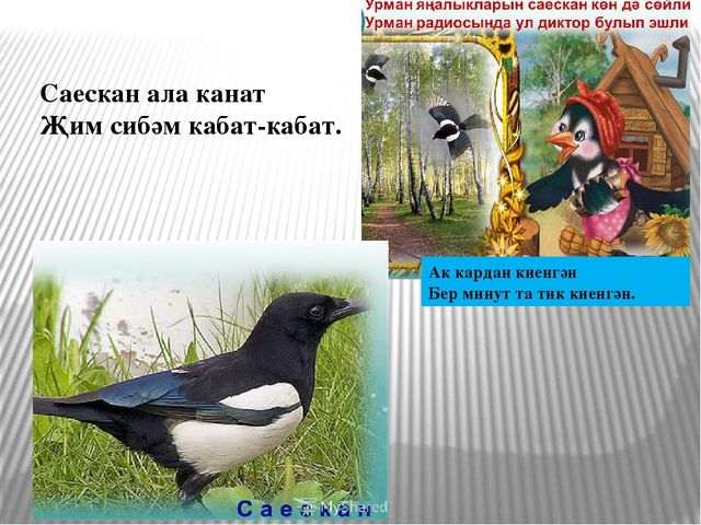 Презентация по экологическому воспитанию на тему "Кышлаучы кошлар"