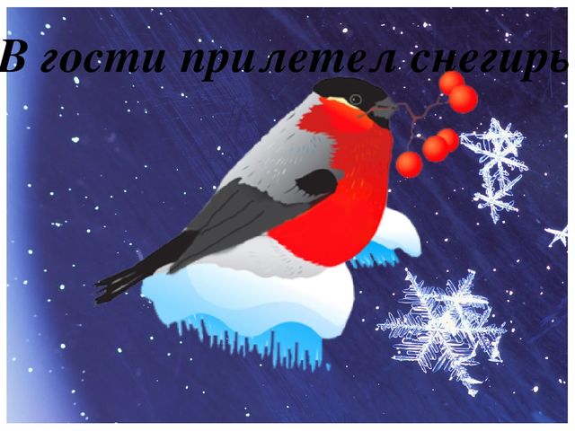 Фото отчёт "Один день из жизни группы"