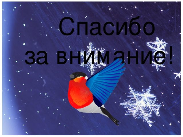 Фото отчёт "Один день из жизни группы"