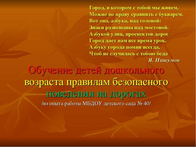 Презентация по ПДД "Работа по ПДД в ДОУ" средняя группа