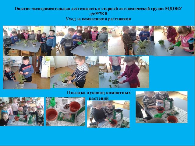Презентация к проекту на тему "Наши друзья -комнатные растения"