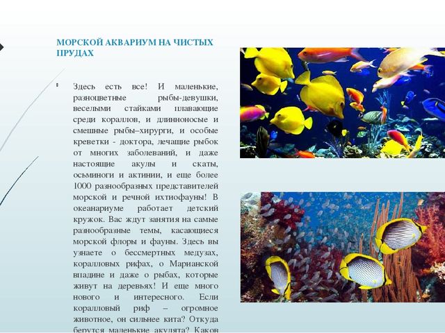 Презентация "Путешествие по "Покровскому кварталу"