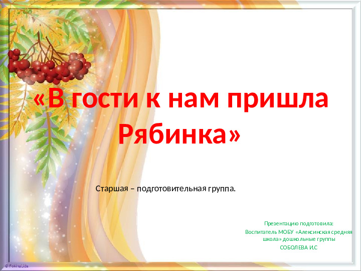 Презентация для дошкольников "Знакомство с рябиной"