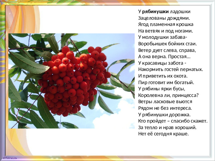 Презентация для дошкольников "Знакомство с рябиной"