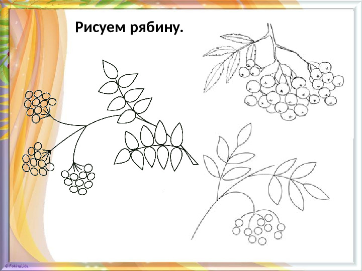 Презентация для дошкольников "Знакомство с рябиной"