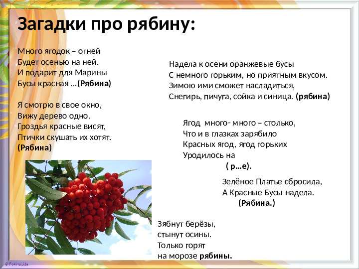 Презентация для дошкольников "Знакомство с рябиной"