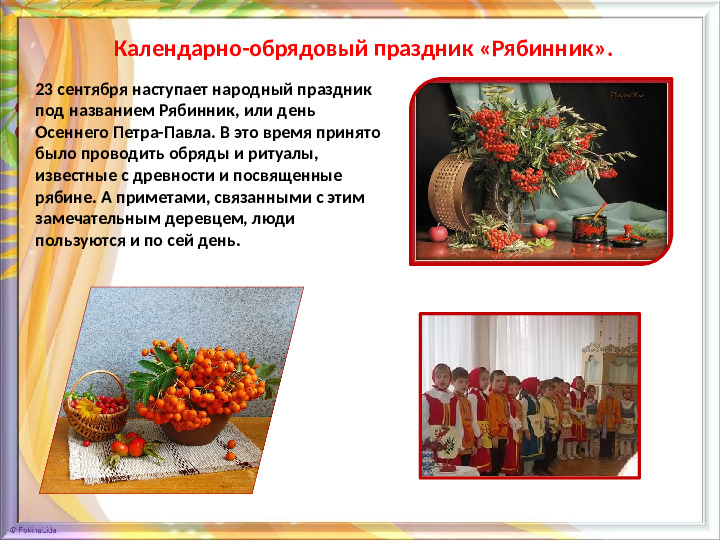 Презентация для дошкольников "Знакомство с рябиной"