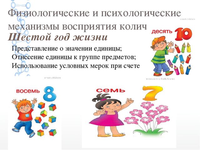 Презентация по формированию элементарных математических понятий на тему "Особенности развития количественных представлений дошкольников"
