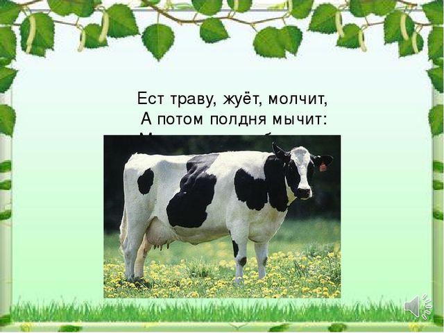 Презентация к НОД "Домашние животные"