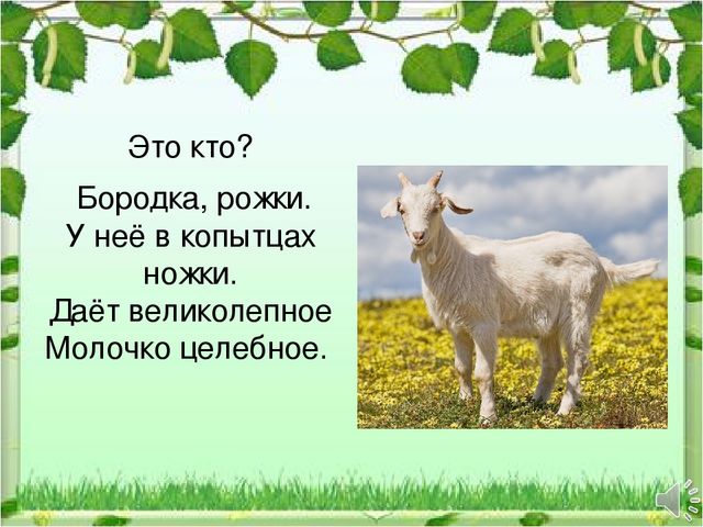 Презентация к НОД "Домашние животные"