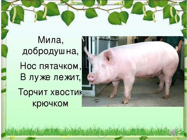 Презентация к НОД "Домашние животные"