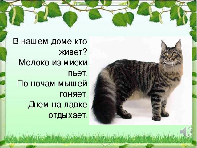 Презентация к НОД "Домашние животные"