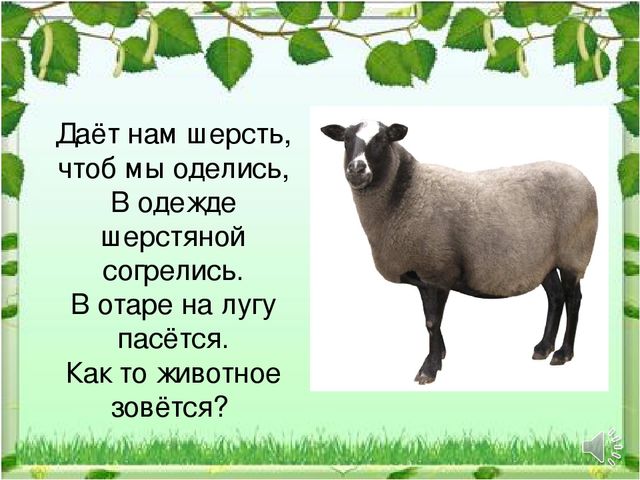 Презентация к НОД "Домашние животные"