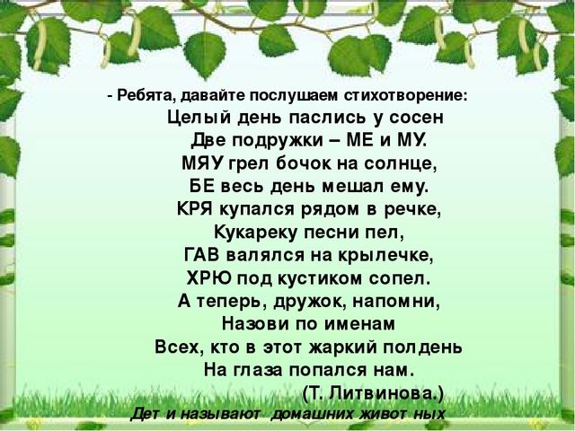 Презентация к НОД "Домашние животные"