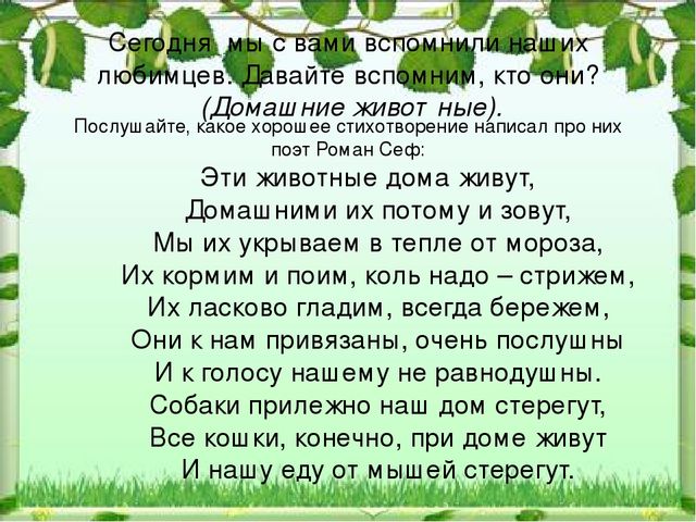 Презентация к НОД "Домашние животные"
