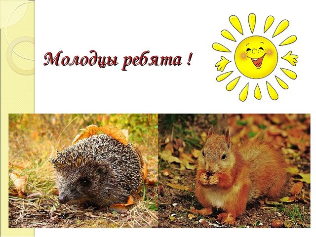 Дидактическая игра-презентация "Мир животных"