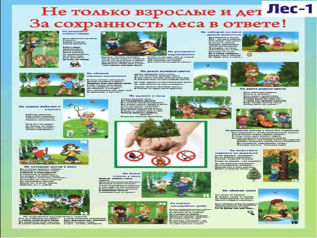 Презентация "Семейная школа безопасности"