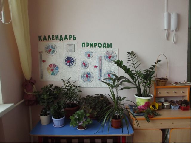 Презентация "Создание предметно-развивающей среды с целью обеспечения разностороннего развития личности"