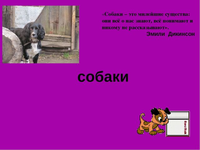 Презентация на лексическую тему "Собаки"