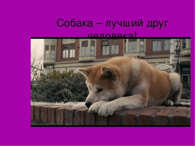 Презентация на лексическую тему "Собаки"