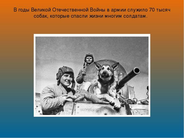 Презентация на лексическую тему "Собаки"
