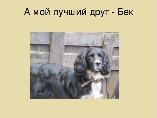 Презентация на лексическую тему "Собаки"