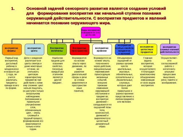 Презентация "Сенсорное развитие детей раннего возраста в разных видах деятельности"