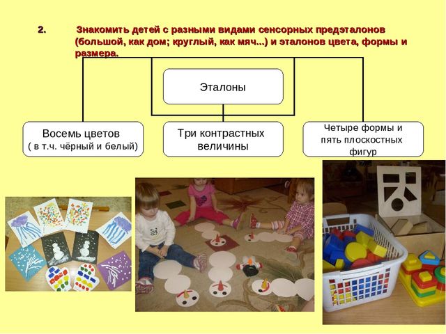 Презентация "Сенсорное развитие детей раннего возраста в разных видах деятельности"