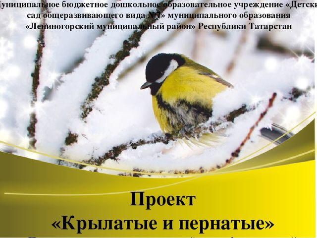 Проект по экологическому развитию