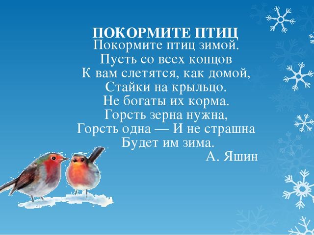 Проект по экологическому развитию
