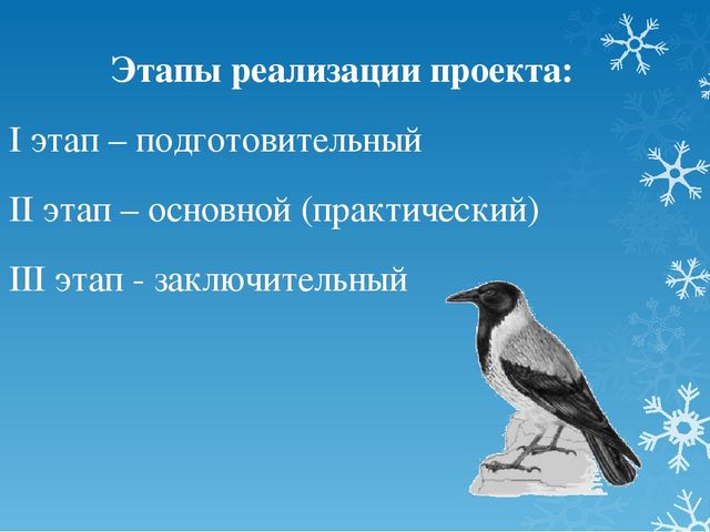 Проект по экологическому развитию