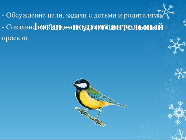 Проект по экологическому развитию