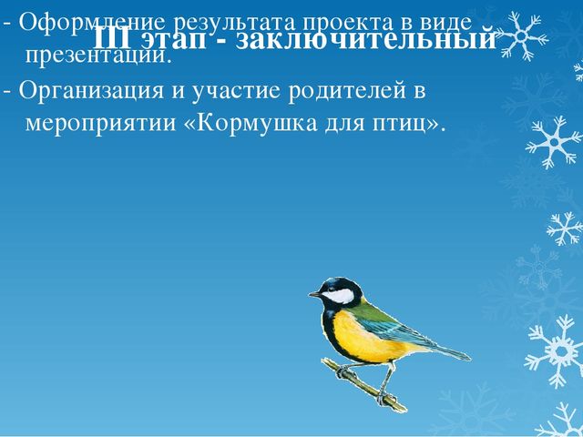 Проект по экологическому развитию