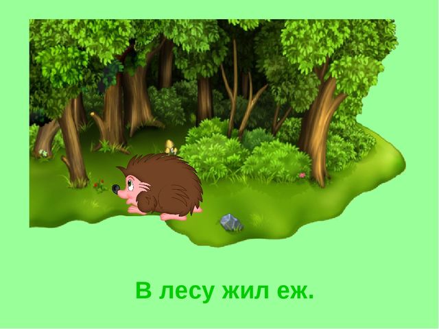 Презентация «Ёж». Короткие рассказы про животных