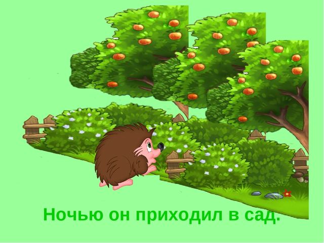 Презентация «Ёж». Короткие рассказы про животных