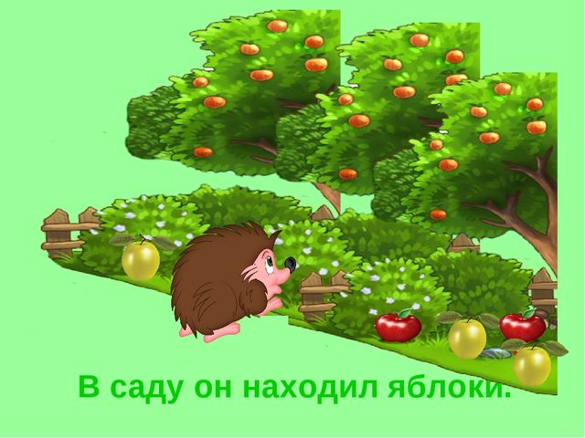 Презентация «Ёж». Короткие рассказы про животных