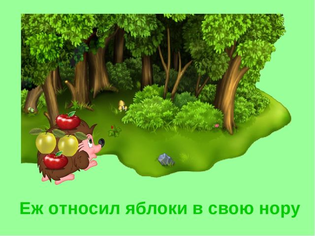 Презентация «Ёж». Короткие рассказы про животных