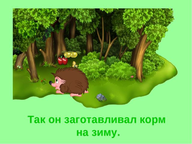 Презентация «Ёж». Короткие рассказы про животных