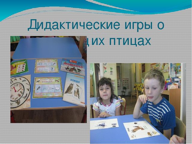 Презентация проекта "Наши друзья - зимующие птицы"