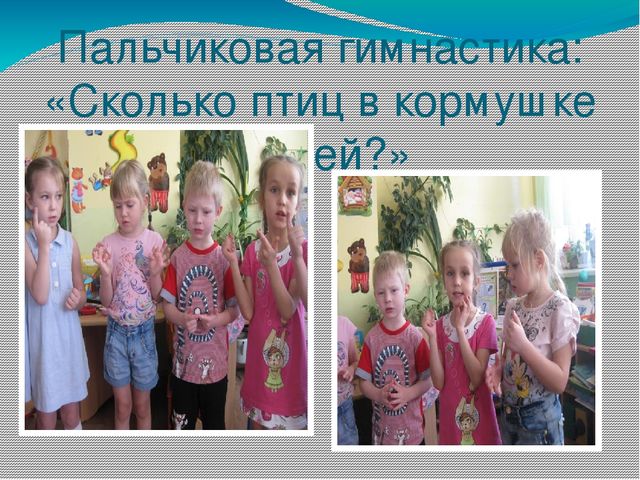 Презентация проекта "Наши друзья - зимующие птицы"