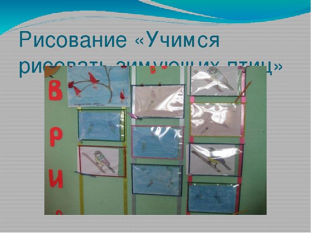 Презентация проекта "Наши друзья - зимующие птицы"