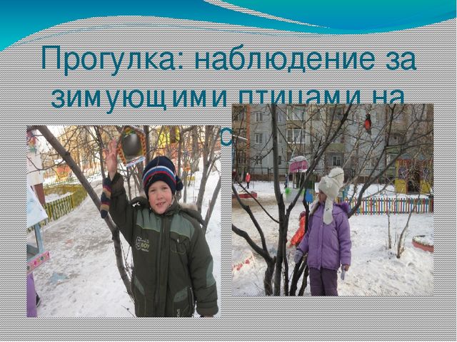 Презентация проекта "Наши друзья - зимующие птицы"