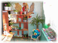 Picture 1