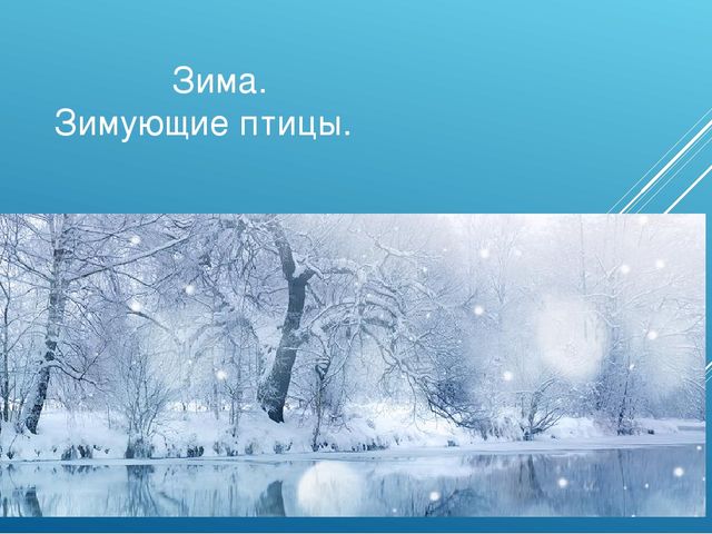 Презентация к НОД "Зима. Зимующие птицы" (старшая группа)