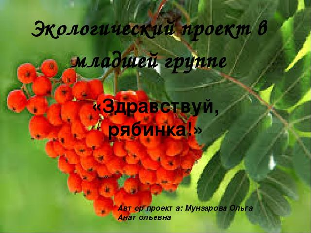 Экологический проект в младшей группе «Здравствуй, рябинка!»